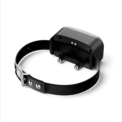 Wireless Dog Containment Fence