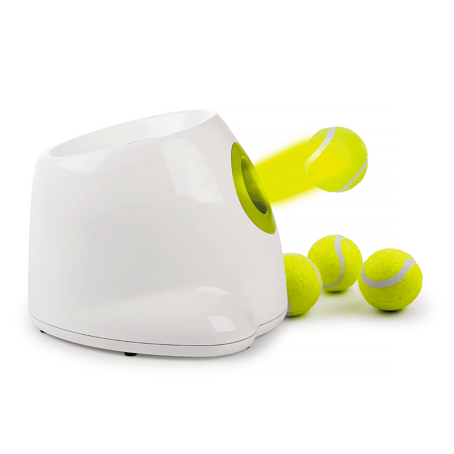 Automatic Ball Launcher for Dogs