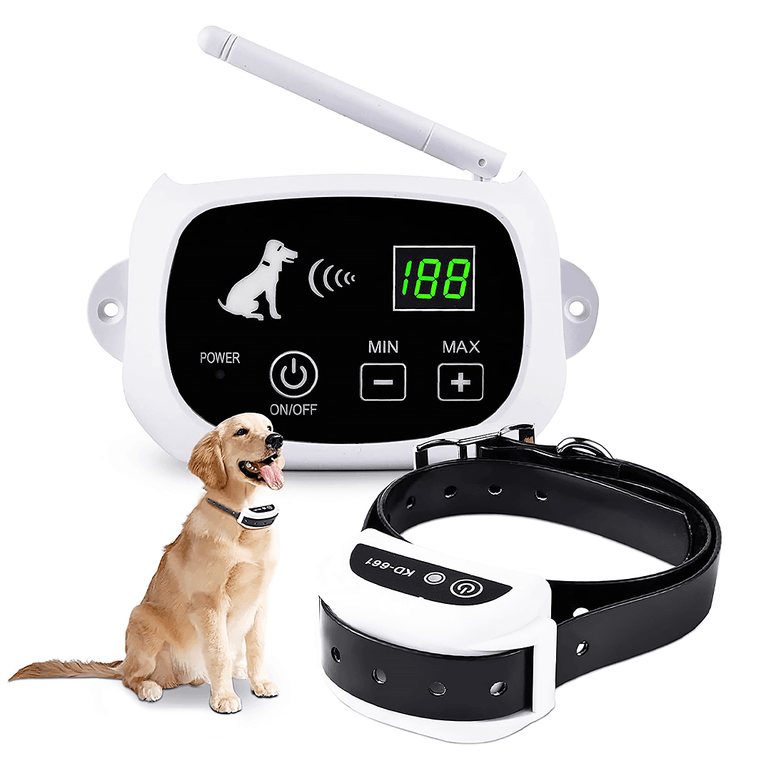 safe happy dog wearing collar from wireless electric dog containment fence