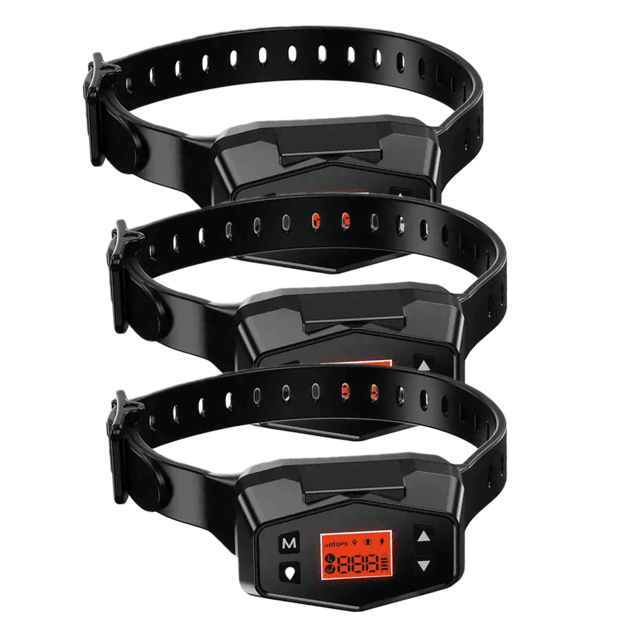 GPS Wireless Collar Fence for 3 Dogs