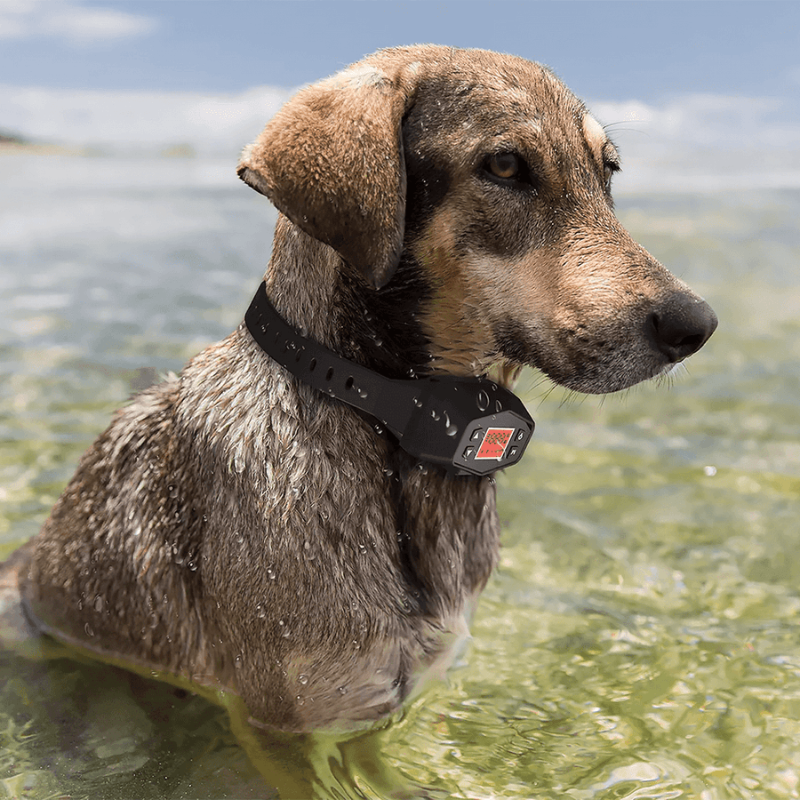 GPS Wireless Collar Fence for Dogs